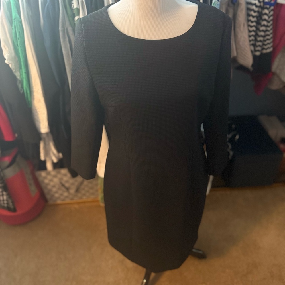 Elegant Quince Black Dress
